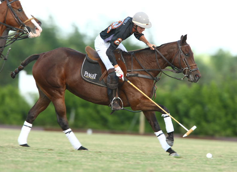 Pedro Morrison Memorial Cup Photos