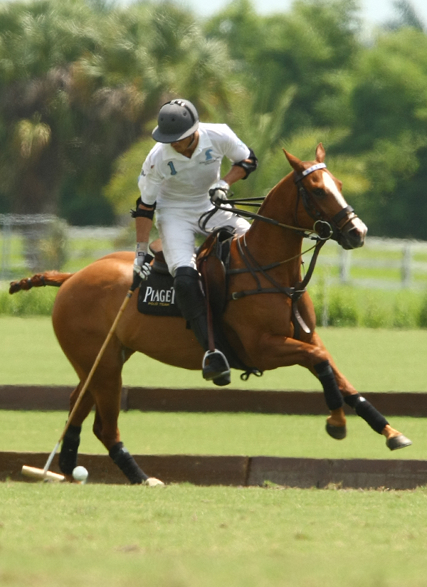 uspa polo tournament sun cup round robin pacheco polo mag