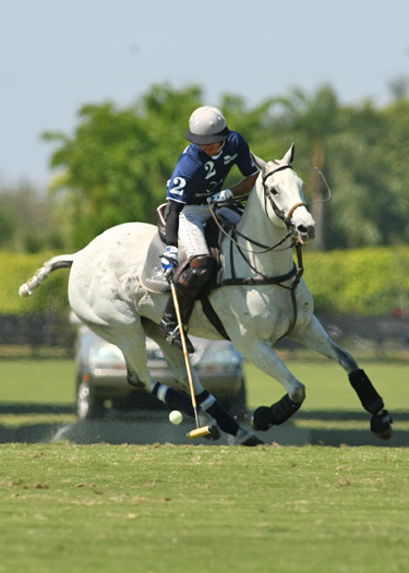 polo gold cup international polo club valiente mt brilliant polo teams alex pacheco photos polo magazine 1