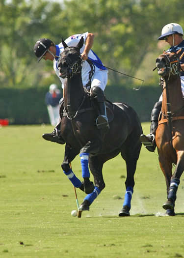 polo gold cup international polo club valiente mt brilliant polo teams alex pacheco photos polo magazine 5